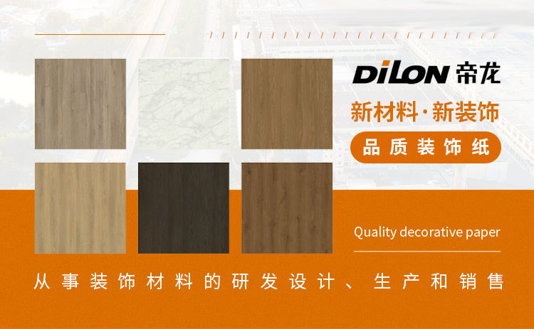 帝龙DILON