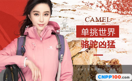 骆驼Camel