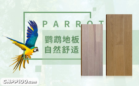 鹦鹉地板PARROT