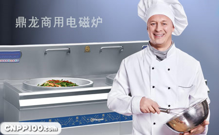 鼎龙DINGLONG