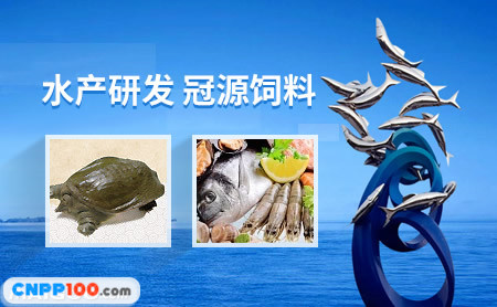 冠源Guanyuan
