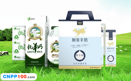 阳春羊奶