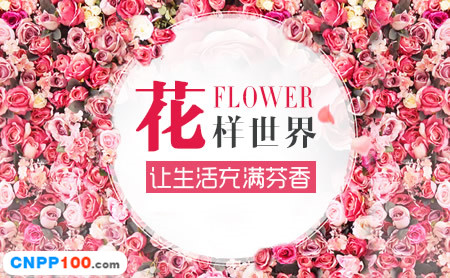 杨月季