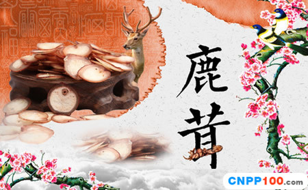 新华XINHUA